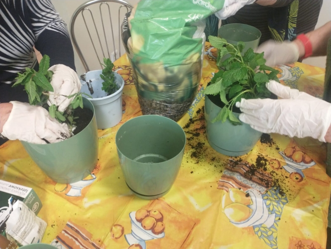 Dzienny Dom Pobytu Seniora w Warszawie