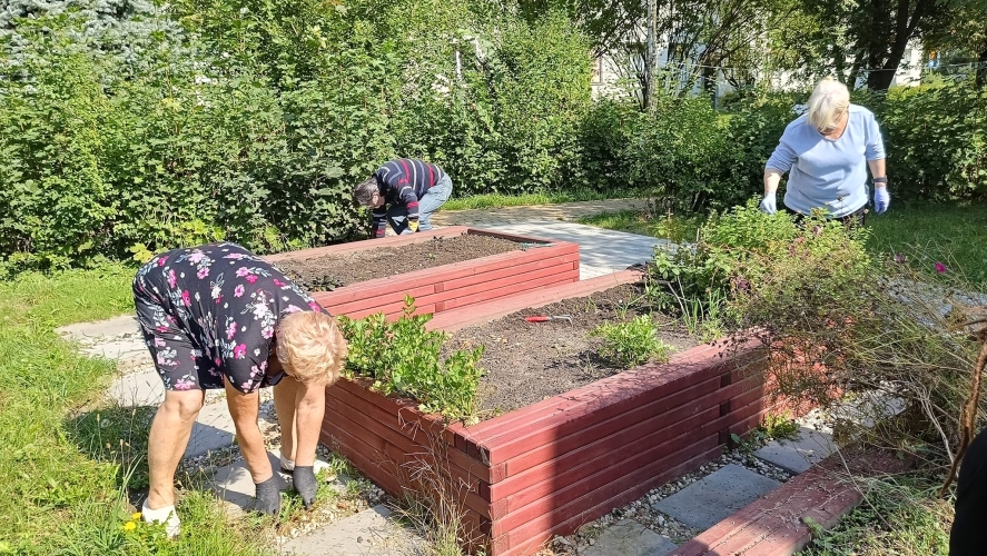 Dzienny Dom SENIOR+ w Pyskowicach