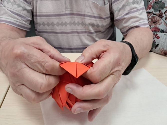 Dzienny Dom Pomocy SENIOR+ w Błotnicy