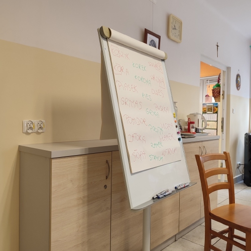 Dzienny Dom SENIOR+ w Stalowej Woli