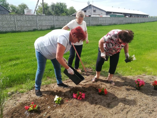 Dzienny Dom SENIOR+ w Przeworsku