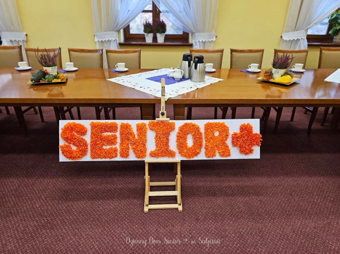 Dzienny Dom SENIOR+ w Sulęcinie