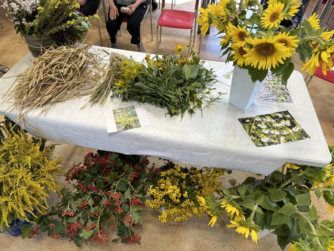 Uczestnicy Dziennego Domu SENIOR+ w Komoroiwie borą udział w róznego rodzaju zajęciach terapeutycznych