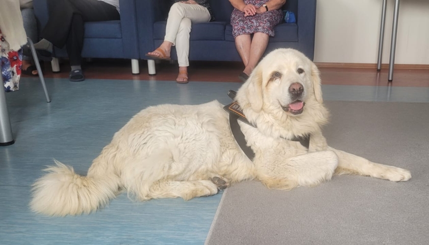 Dzienny Dom SENIOR+ w Kazimierzu Biskupim zapewnia swoim gościom terapię zajęciową - jedną z jej forme jest dogoterapia