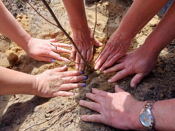 Dzienny Dom SENIOR+ w Maziarni - zajęcia ogrodnicze