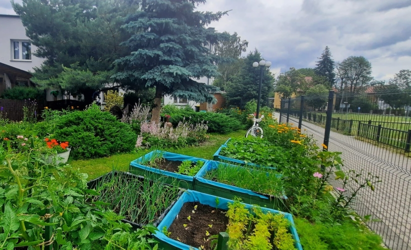 Dzienny Dom SENIOR+ w Kazimierzu Biskupim