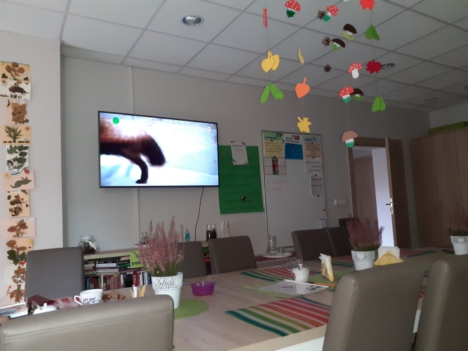 Dzienny Dom Pobytu SENIOR+ w Trzebnicy