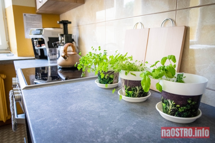 Dzienny Dom SENIOR+ w Ćmielowie