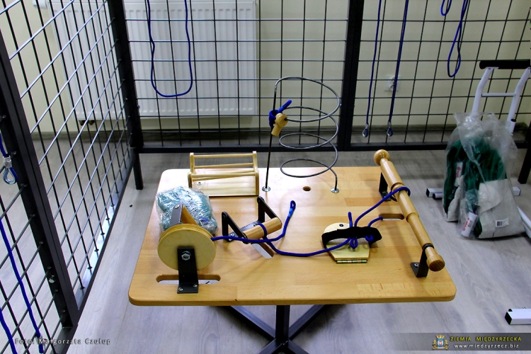 Dzienny Dom SENIOR+ w Międzyrzeczu