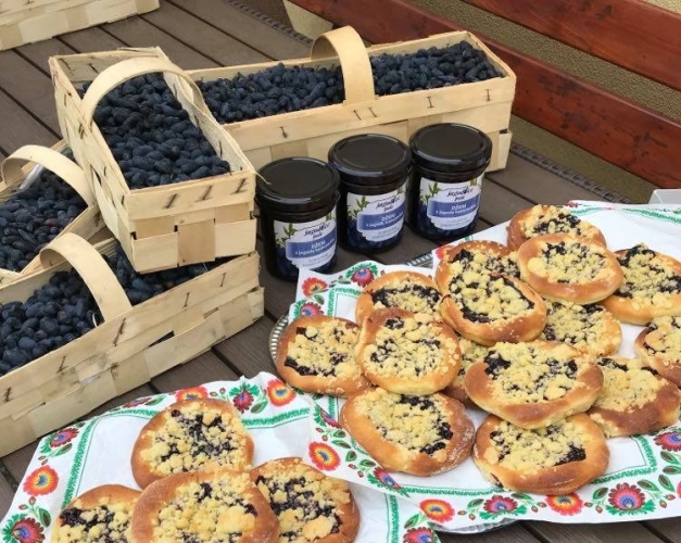 Dzienny Dom SENIOR+ w Olszownicy - seniorzy podczas zajęć kulinarnych przygotowują samodzielnie sałatki, desery i słodkie wypieki