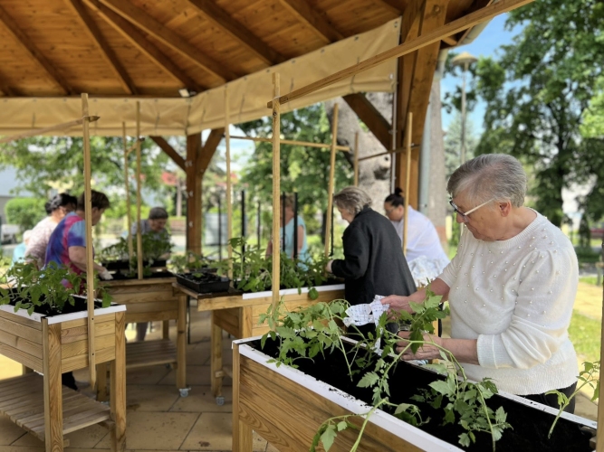 Dzienny Dom SENIOR+ w Dzierżoniowie - prace ogrodowe to jedna z form terapii zająceiowej