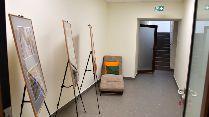 Dzienny Dom SENIOR+ w Dzierżoniowie