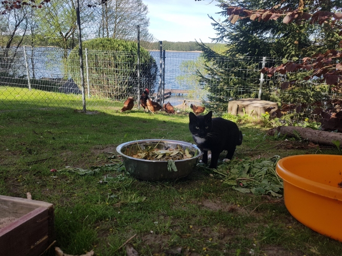 W Domu Opieki Rodzinnej w Worlinach seniorzy mają stały kontakt ze zwierzętami