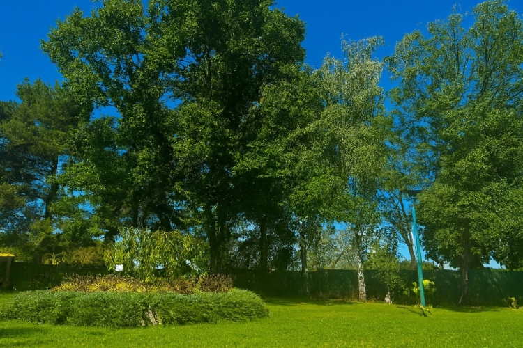 Dom Opieki CareLife MedCenter w Świebodzicach